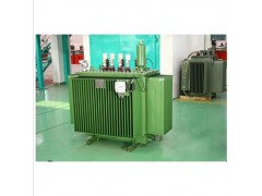 S11-M-30~1600/10电力变压器