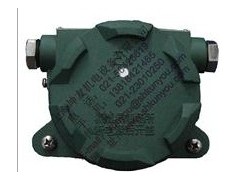 UHZ-318CK-1-40RP 凸轮磁驱动式液位开关