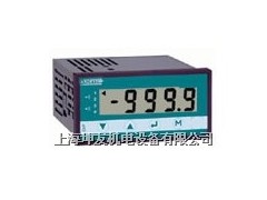 ADIP300-88CR 智能数显表