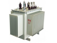 S11系列10KV级低损耗电力变压器