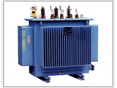 生产供应 S11油浸电力变压器 油浸式变压器 配电变压器 变压