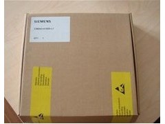 SIEMENS色谱仪样品阀帽C04202/C04211