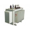 S11-M-30~2500/10全密封配电变压器
