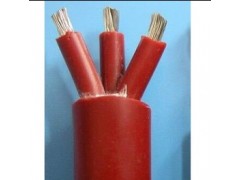 额定电压0.6/1KV硅橡胶绝缘、硅橡胶护套电力电缆