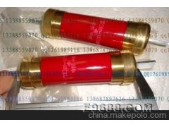 管式熔断器无填料封闭管式低压熔断器RM10-60A-100A 250V 500V