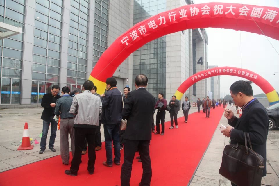 2014宁波国际电工电气展现场回放
