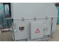 YX, YXKS, YXKK 系列6kV (H355~630)中型高压高效三相异步电动机\六安江淮