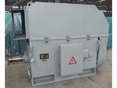 YX, YXKS, YXKK 系列6kV (H355~630)中型高压高效三相异步电动机\六安江淮电机