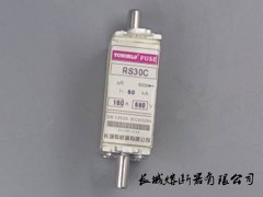 快速熔断器 RS30C 660V 100A TOWORLD\乐清长城