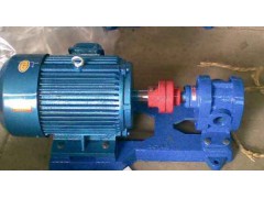 定制山东潍坊-2CY3/2.5高压齿轮泵-润滑油泵-渣油泵