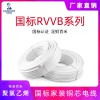 正品阻燃 ZR-RVVB 聚氯乙烯绝缘扁形护套软电缆