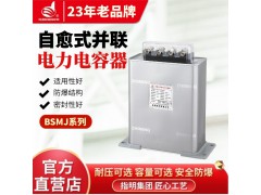 指明集团BSMJ0.45-30-3自愈式并联电力电容器