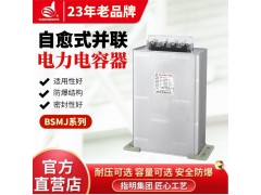 指明BSMJ0.45-20-3自愈式并联低压电力电容器