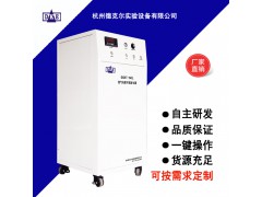 DCKT-60L系列氮气纯度可调发生器 (气源）